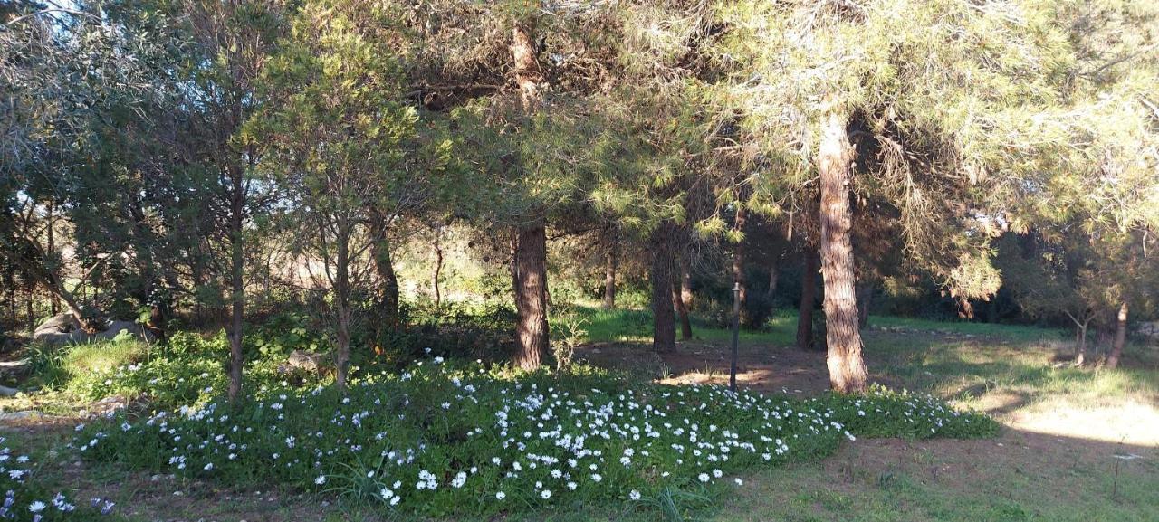 לצ'ה Villa Raffaella מראה חיצוני תמונה