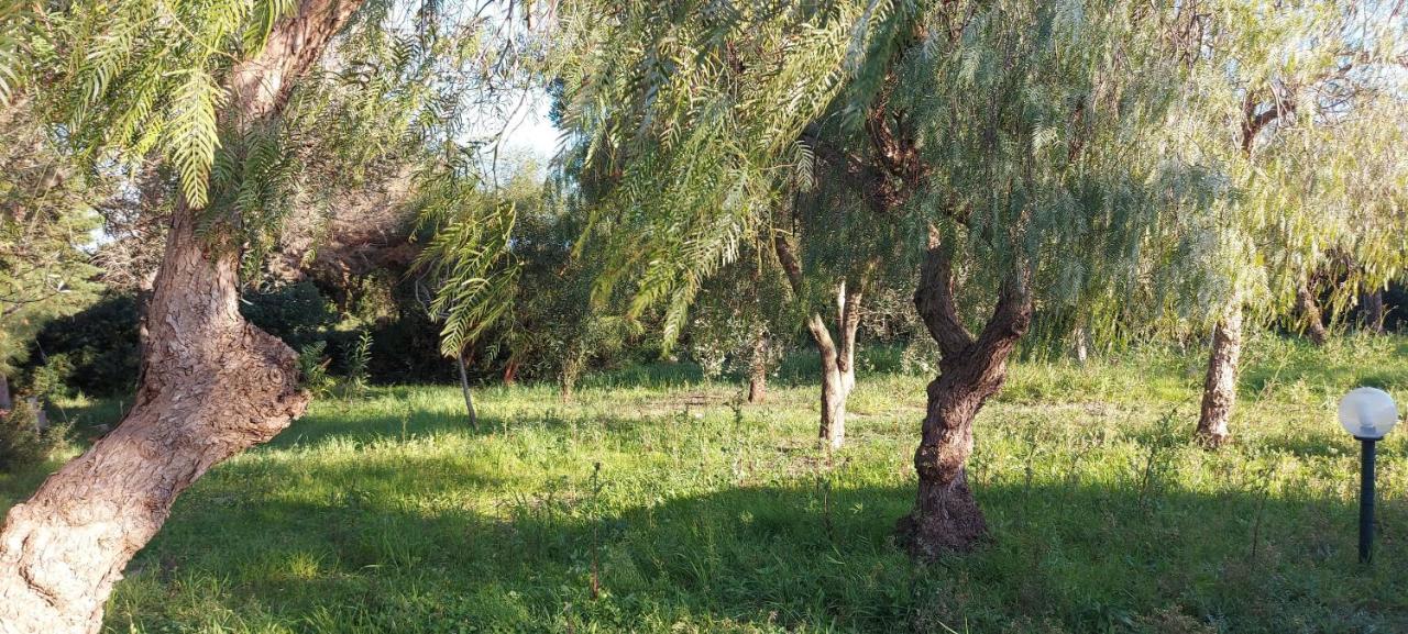 לצ'ה Villa Raffaella מראה חיצוני תמונה