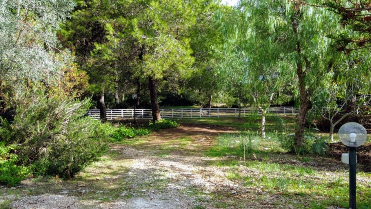 לצ'ה Villa Raffaella מראה חיצוני תמונה