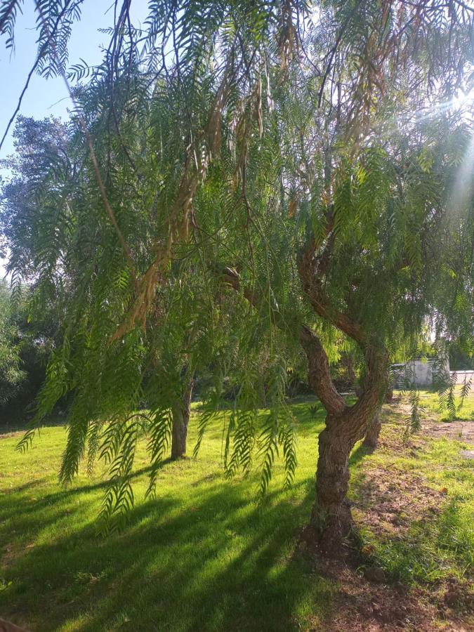 לצ'ה Villa Raffaella מראה חיצוני תמונה